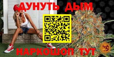 дурь Будённовск