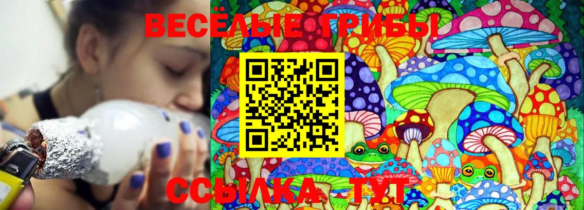 Галлюциногенные грибы Cubensis  Вход с VPN  Урус-Мартан 