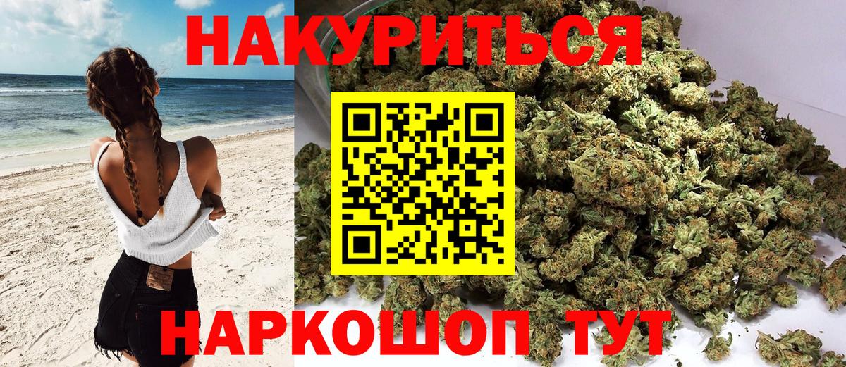 Каннабис индика Урус-Мартан